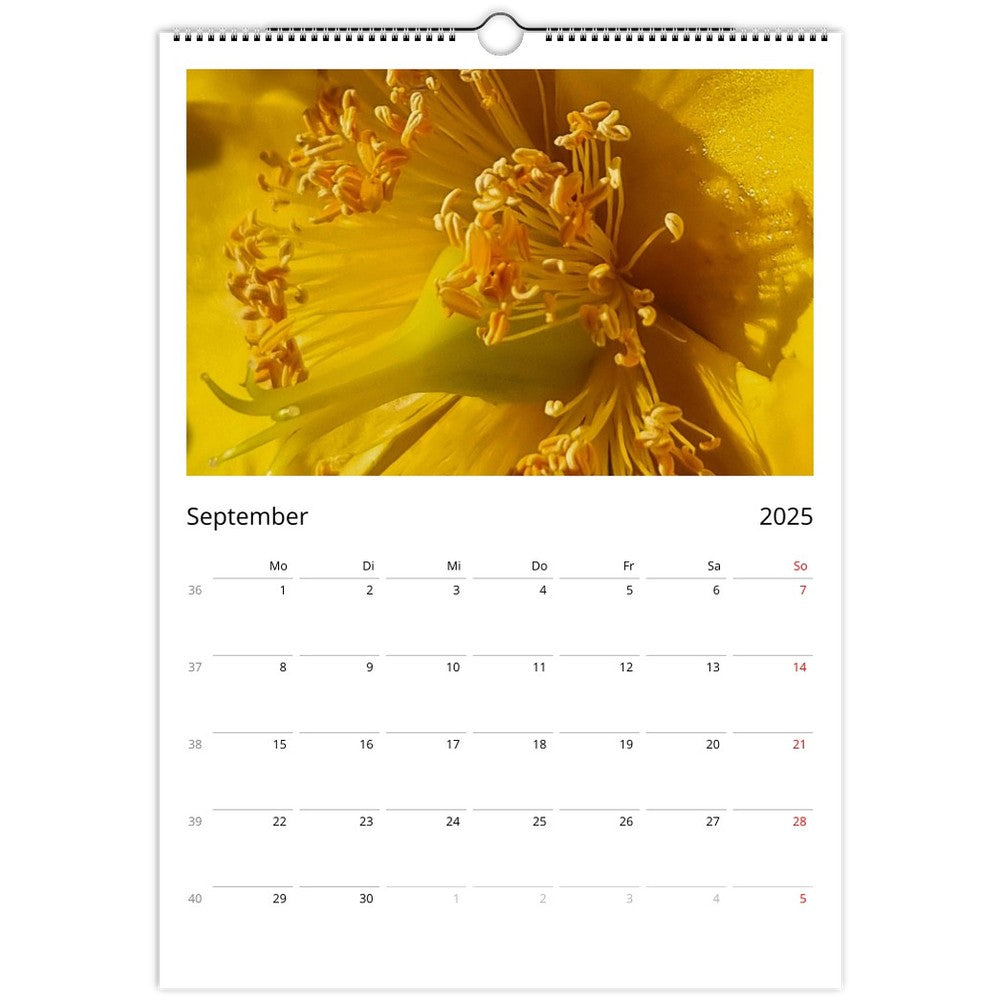 Kalender , Calendar