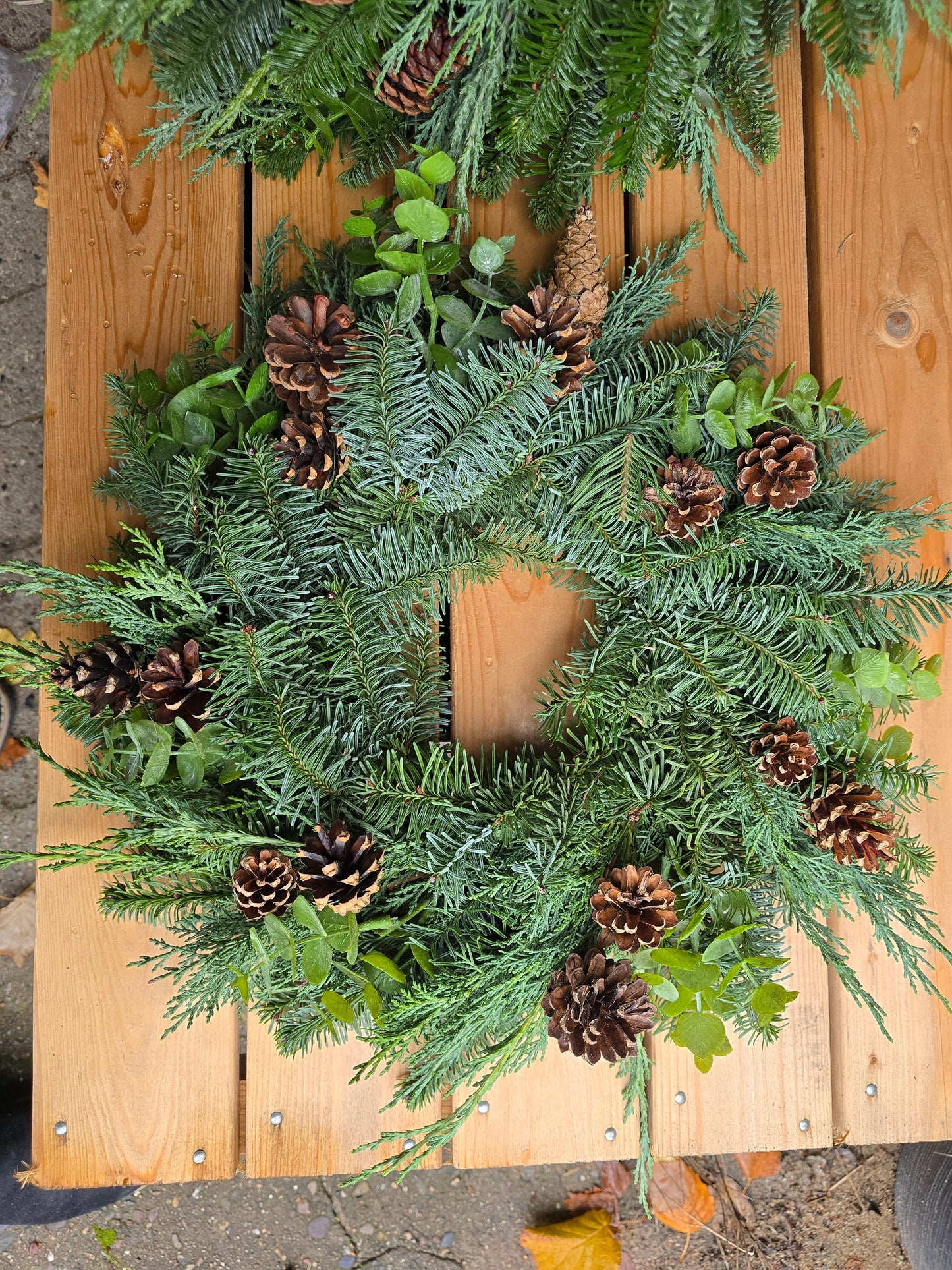 #8014  Rohkranz frische Tanne Eukalyptus und Zapfen Gr s