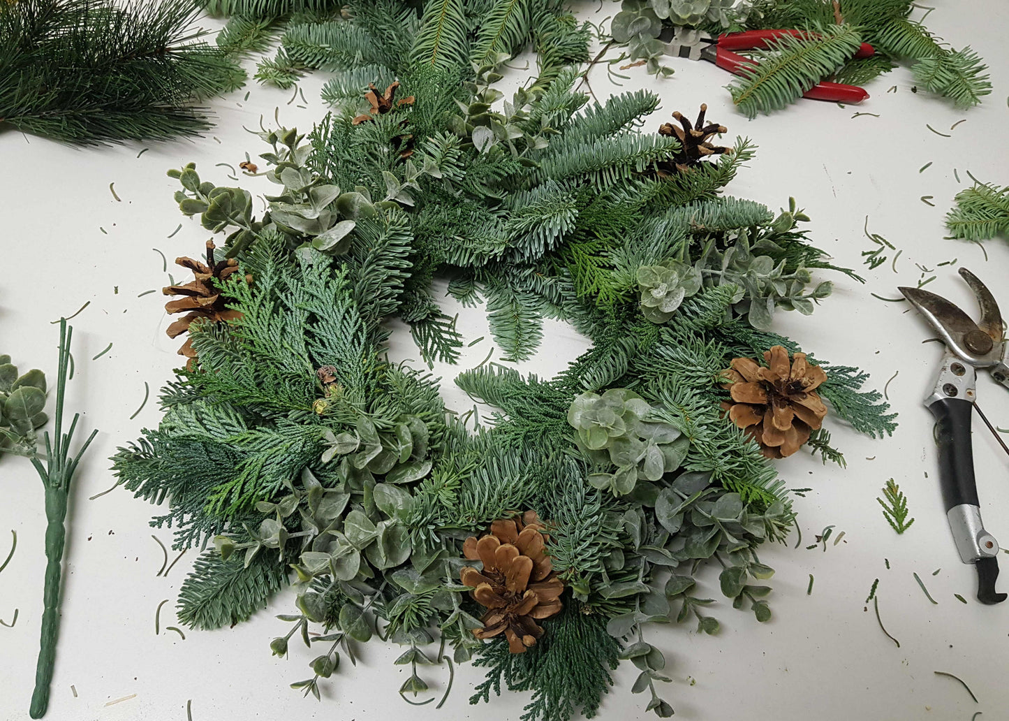#8013 Rohkranz frische Tanne Eukalyptus und Zapfen Gr M